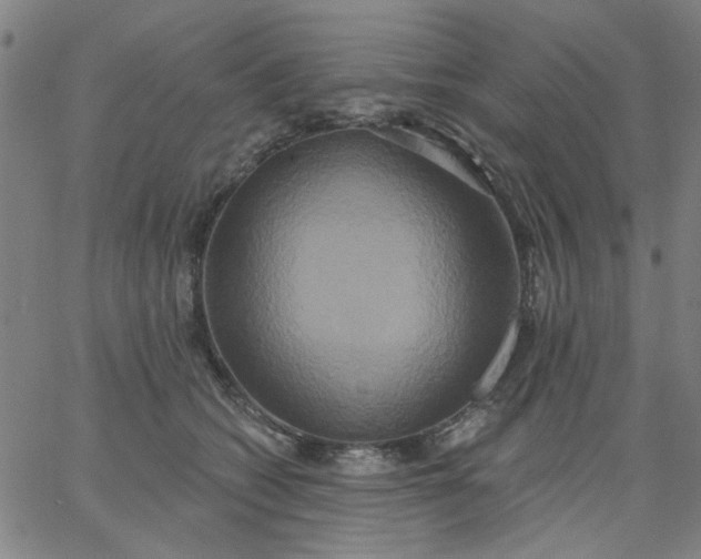 X0000067390562200604131934