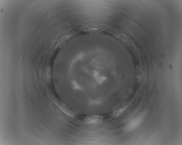 X0000067390563200604131934