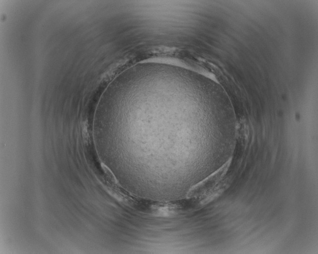 X0000067390564200604131934