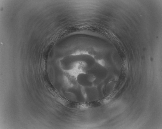 X0000067390565200604131934