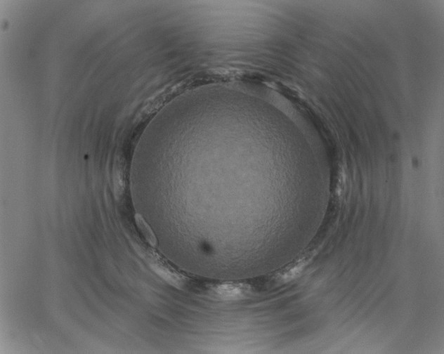 X0000067390566200604131934