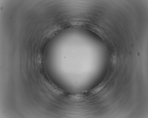 X0000067390567200604131934