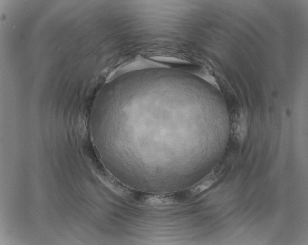 X0000067390568200604131934