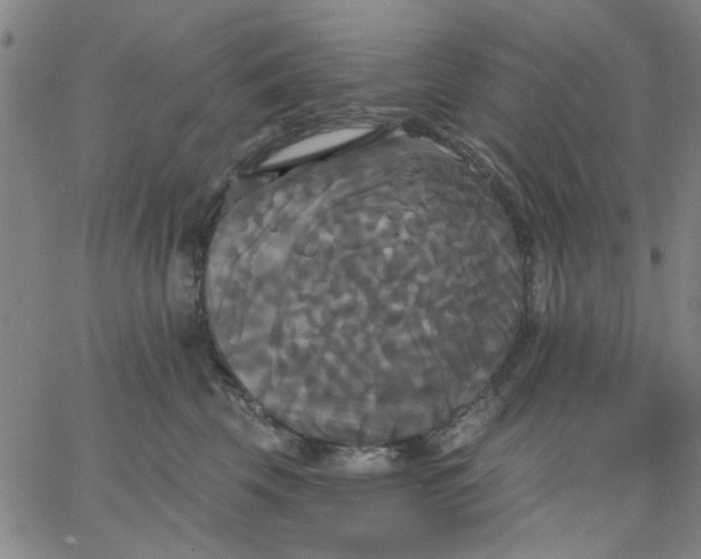 X0000067390569200604131934