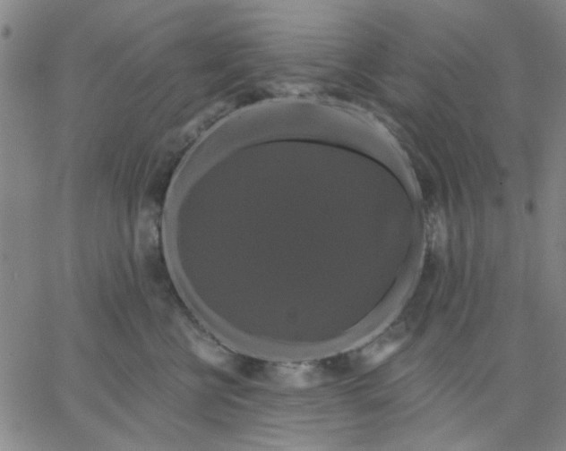 X0000067390570200604131934