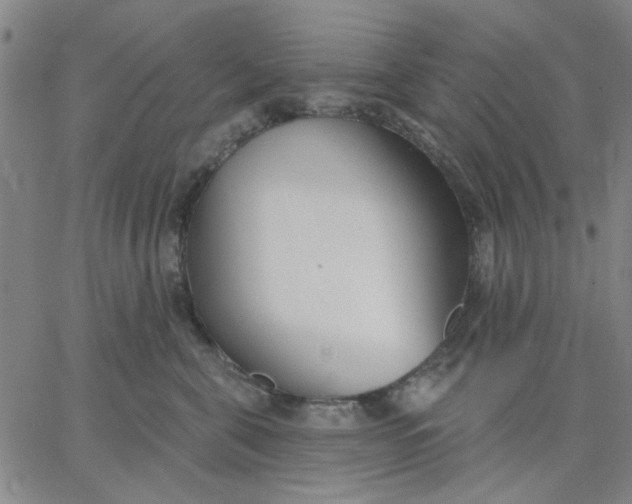 X0000067390571200604131934