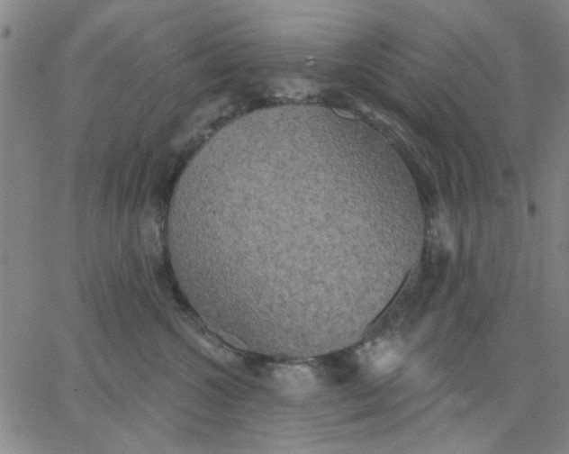 X0000067390572200604131935