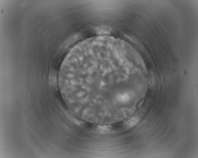 X0000067390573200604131935