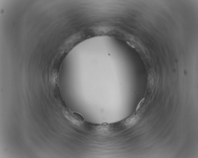 X0000067390574200604131935