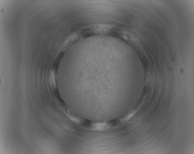 X0000067390575200604131935