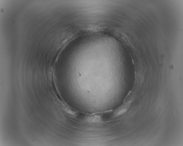 X0000067390576200604131935