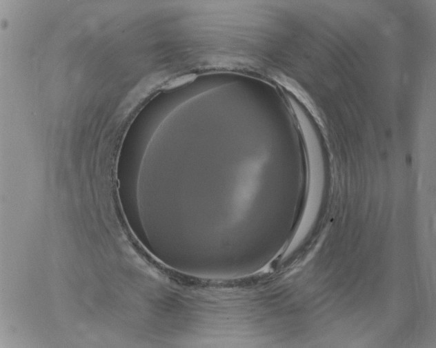 X0000067390577200604131934