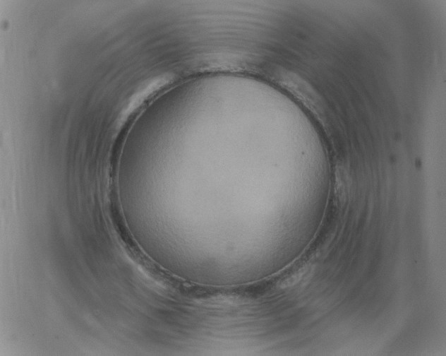 X0000067390578200604131934