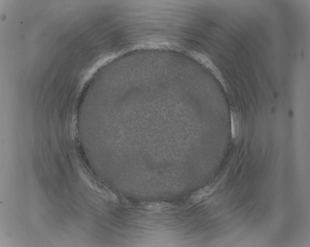 X0000067390579200604131934