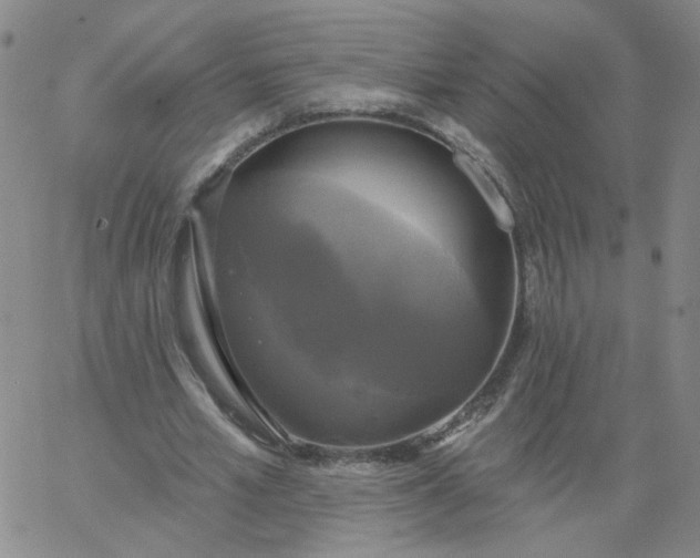 X0000067390581200604131934