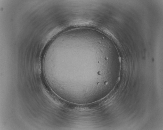 X0000067390582200604131934