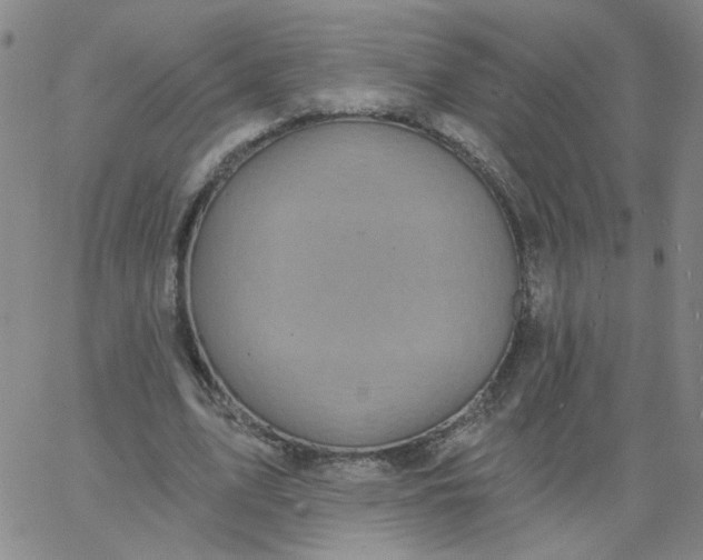 X0000067390583200604131934