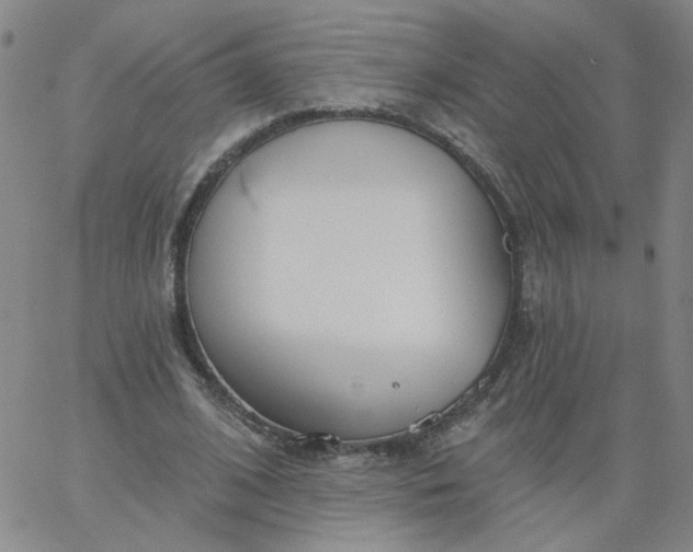 X0000067390584200604131934