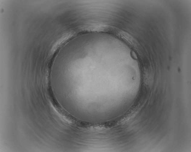 X0000067390586200604131934