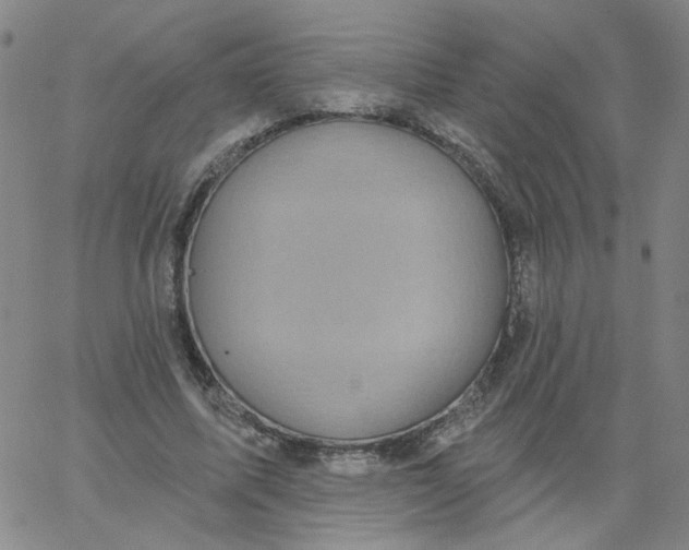 X0000067390587200604131934