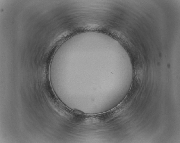 X0000067390591200604131934