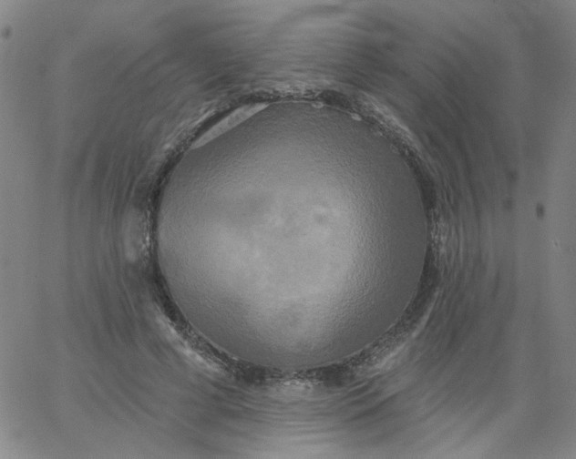 X0000067390593200604131934