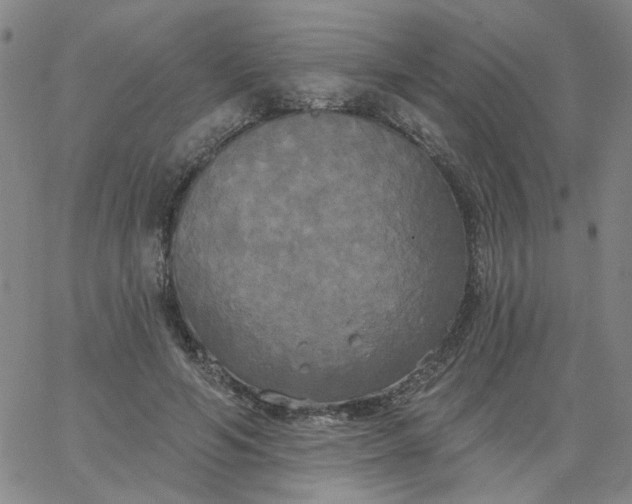 X0000067390594200604131934