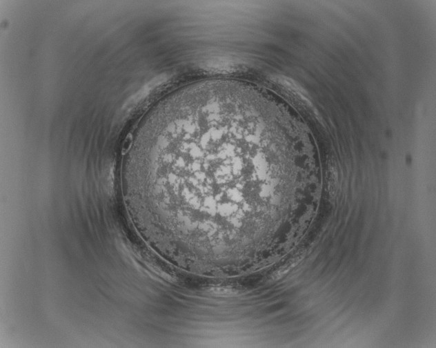 X0000067390596200604131933