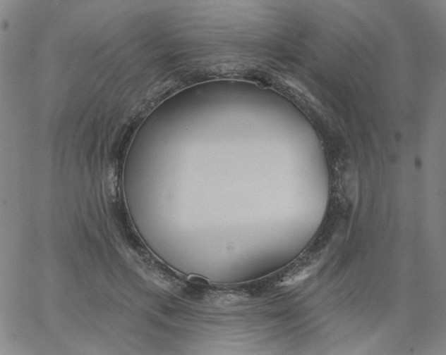 X0000067390597200604131933