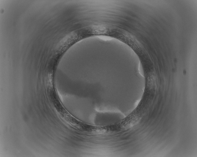 X0000067390598200604131933