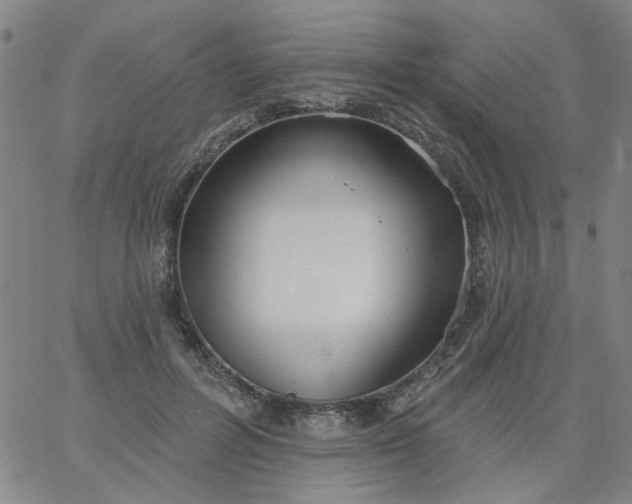 X0000067390600200604131933