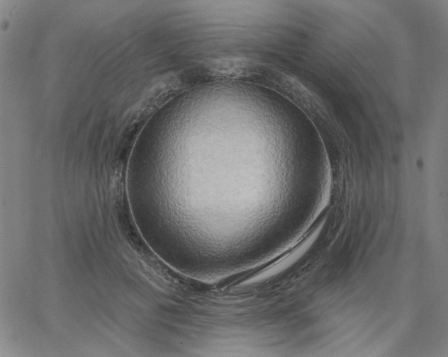 X0000067390601200604131933