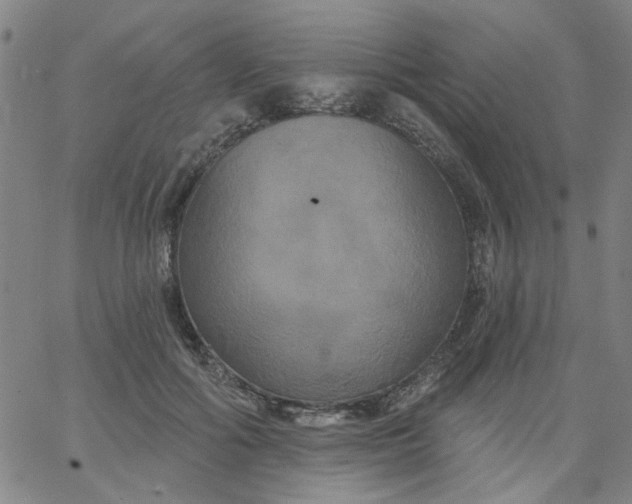 X0000067390602200604131933