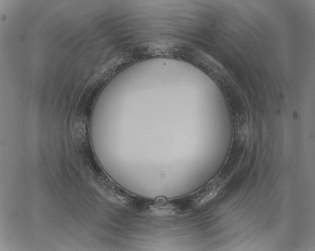 X0000067390603200604131933