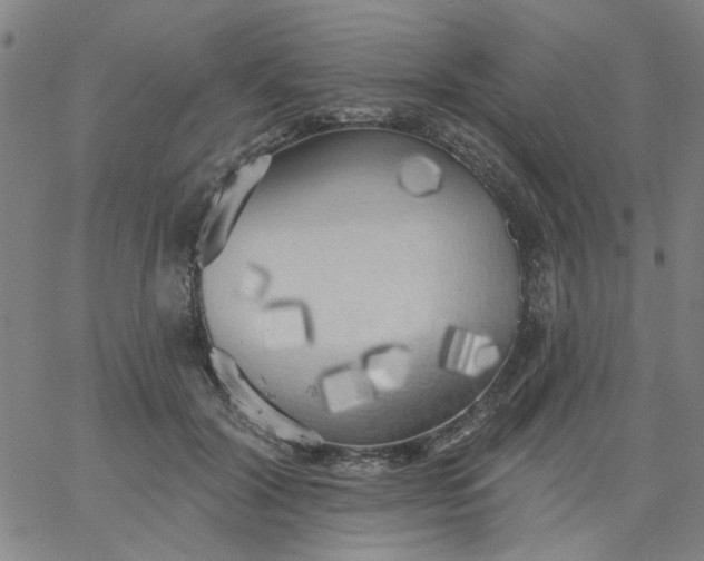 X0000067390604200604131933