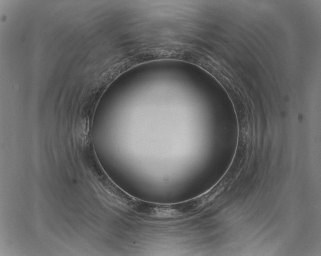 X0000067390605200604131933