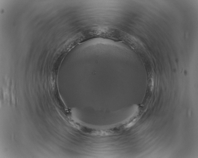 X0000067390607200604131933