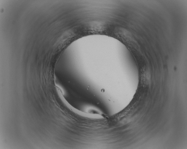 X0000067390608200604131933