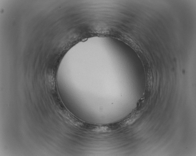 X0000067390609200604131933