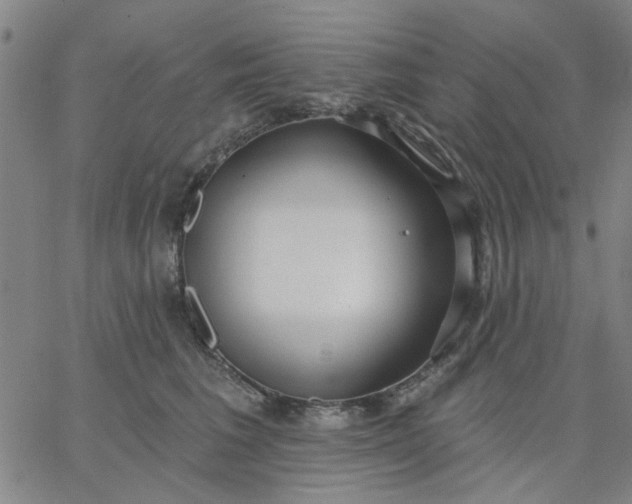 X0000067390613200604131933