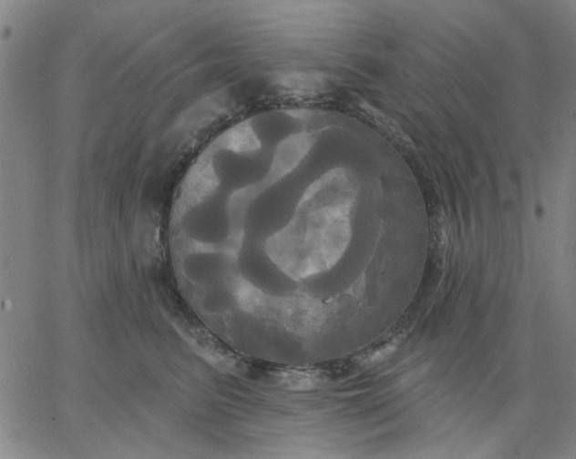 X0000067390615200604131933