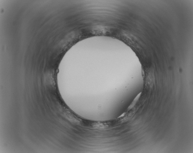 X0000067390616200604131933