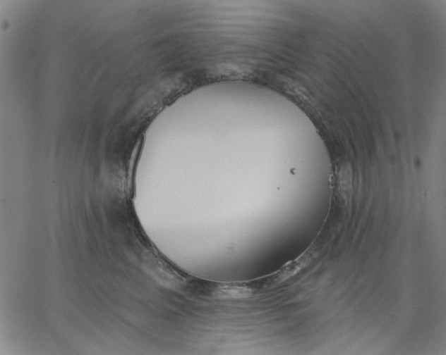 X0000067390617200604131933