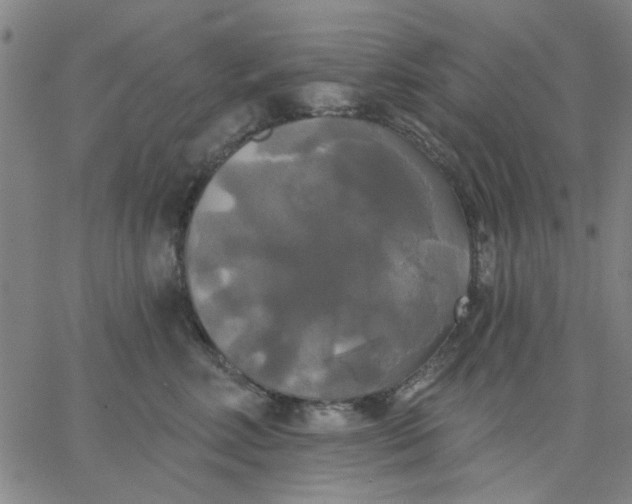 X0000067390618200604131933