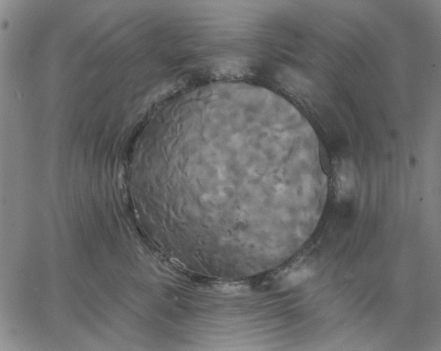 X0000067390619200604131933