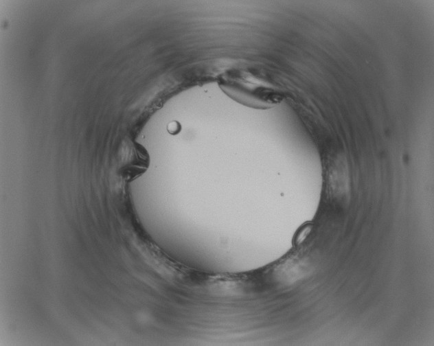 X0000067390620200604131933