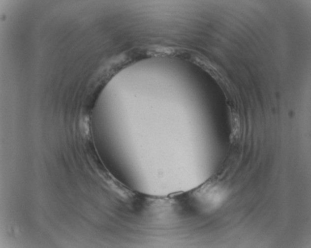 X0000067390621200604131933