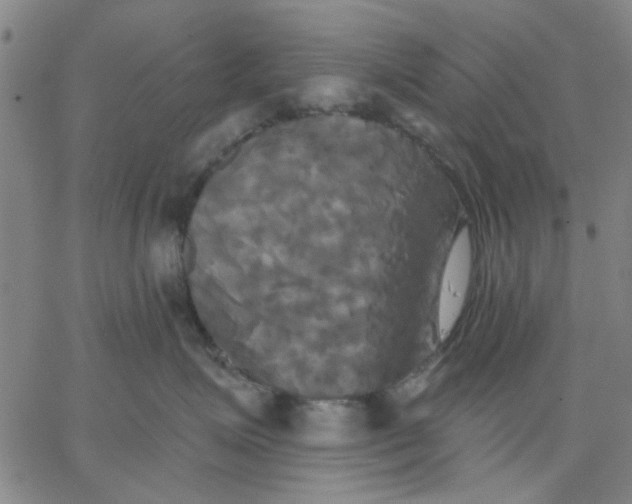 X0000067390623200604131933