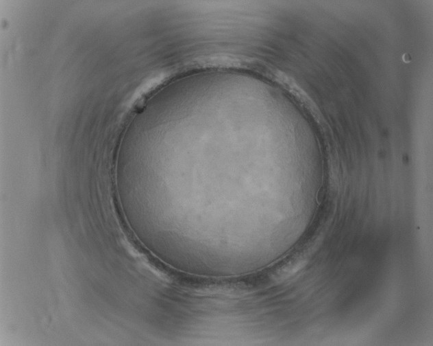 X0000067390625200604131932