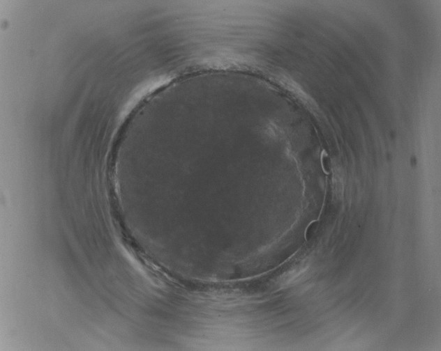 X0000067390626200604131932